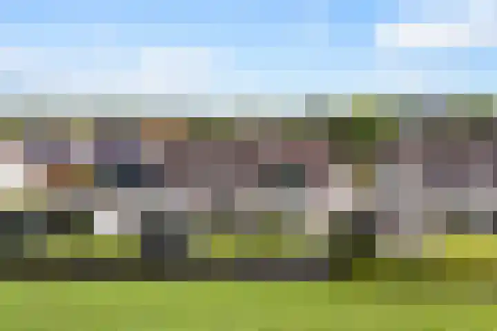 Moark 29 Feanwâlden thumbnail 80
