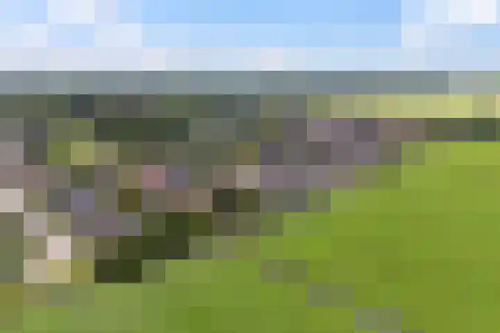 Moark 29 Feanwâlden thumbnail 81