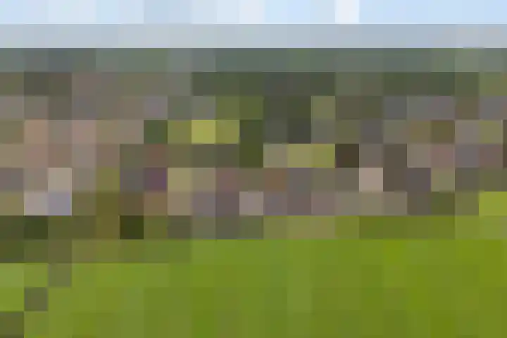 Moark 29 Feanwâlden thumbnail 82
