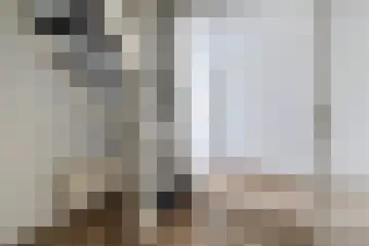 Moark 29 Feanwâlden thumbnail 9