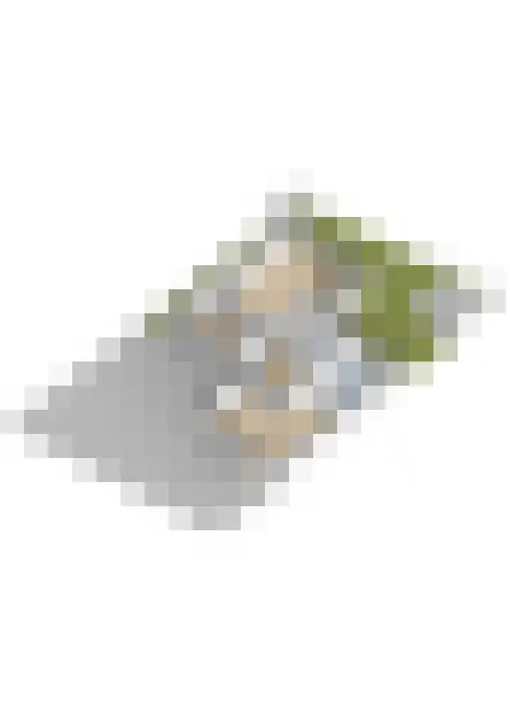 Moark 29 Feanwâlden thumbnail 90