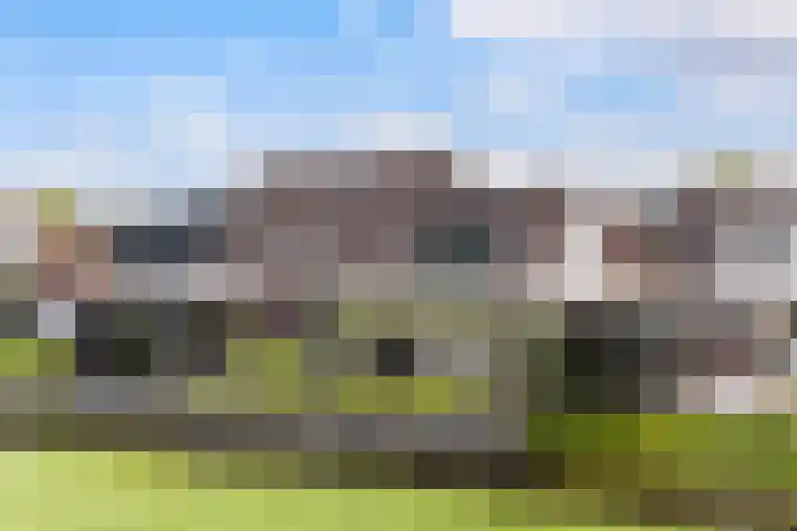 Moark 29 Feanwâlden thumbnail 95