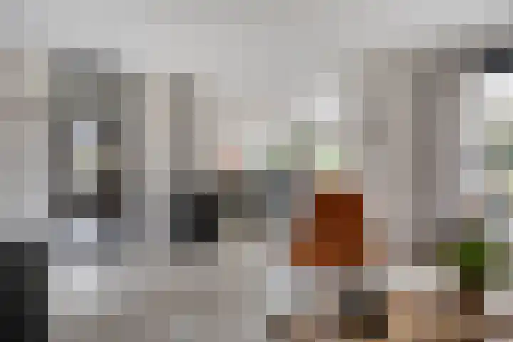Moatsnieder 44 Haaksbergen thumbnail 10