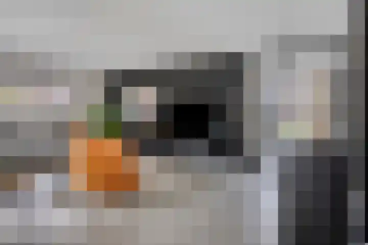 Moatsnieder 44 Haaksbergen thumbnail 11