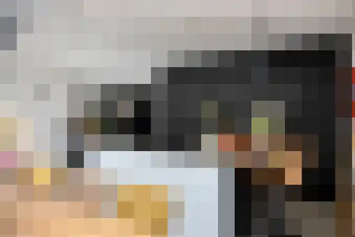 Moatsnieder 44 Haaksbergen thumbnail 14