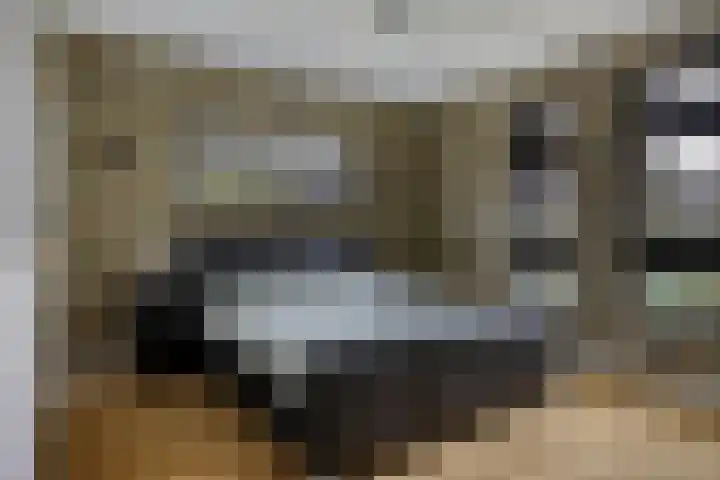 Moatsnieder 44 Haaksbergen thumbnail 19