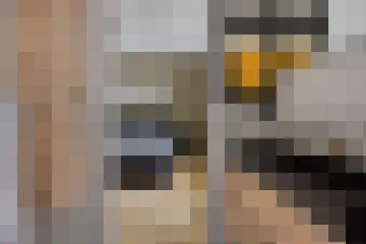 Moatsnieder 44 Haaksbergen thumbnail 22