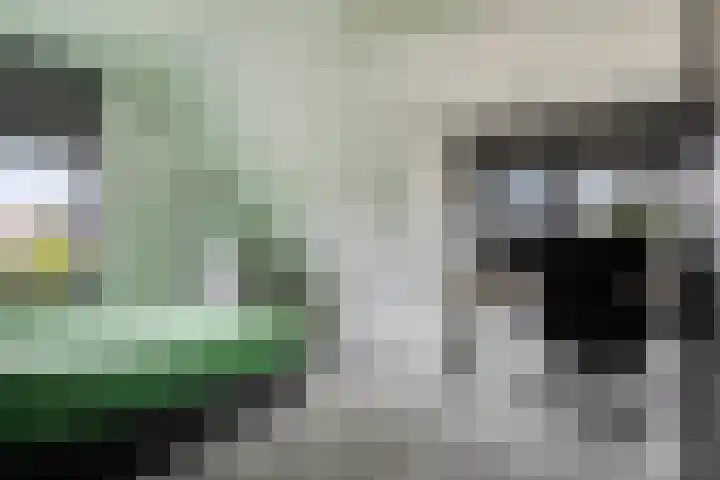 Moatsnieder 44 Haaksbergen thumbnail 28