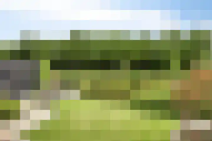 Moatsnieder 44 Haaksbergen thumbnail 32