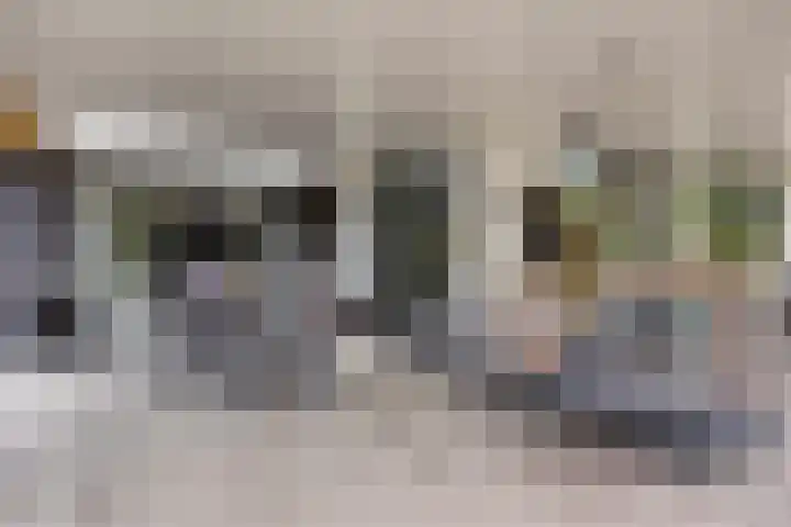 Moatsnieder 44 Haaksbergen thumbnail 33