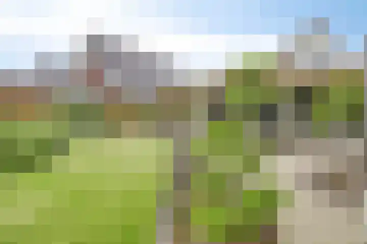 Moatsnieder 44 Haaksbergen thumbnail 36