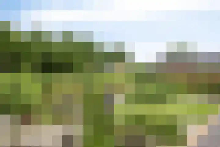 Moatsnieder 44 Haaksbergen thumbnail 37