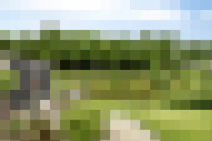 Moatsnieder 44 Haaksbergen thumbnail 38