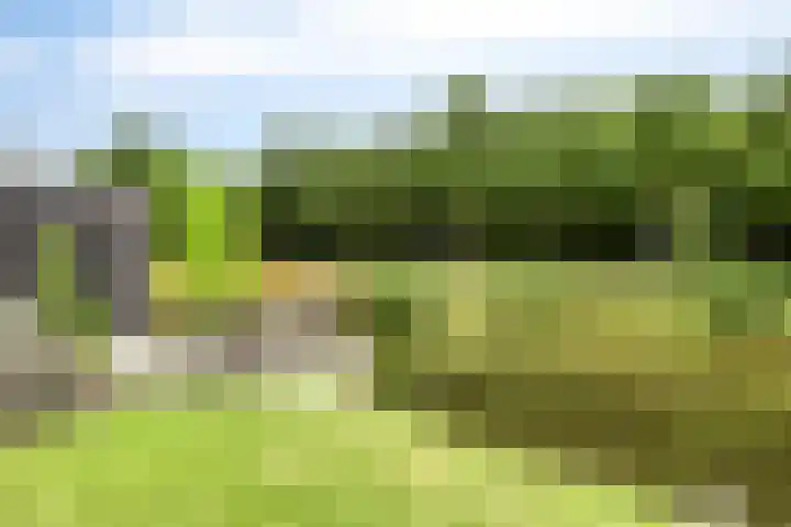Moatsnieder 44 Haaksbergen thumbnail 39