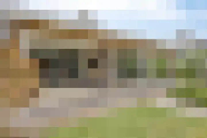 Moatsnieder 44 Haaksbergen thumbnail 40