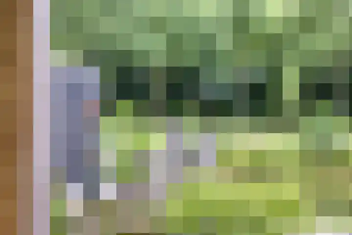 Moatsnieder 44 Haaksbergen thumbnail 41