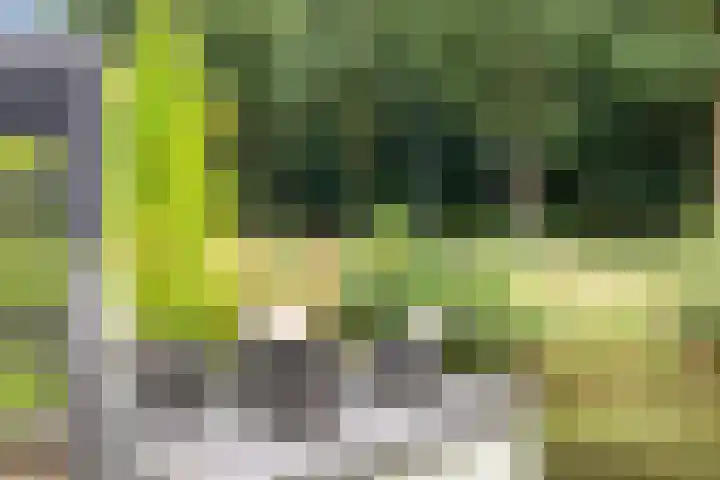 Moatsnieder 44 Haaksbergen thumbnail 43