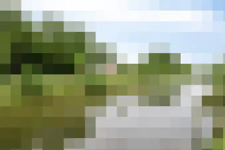 Moatsnieder 44 Haaksbergen thumbnail 45