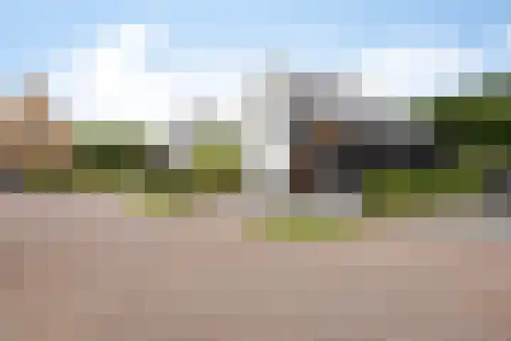 Moatsnieder 44 Haaksbergen thumbnail 5