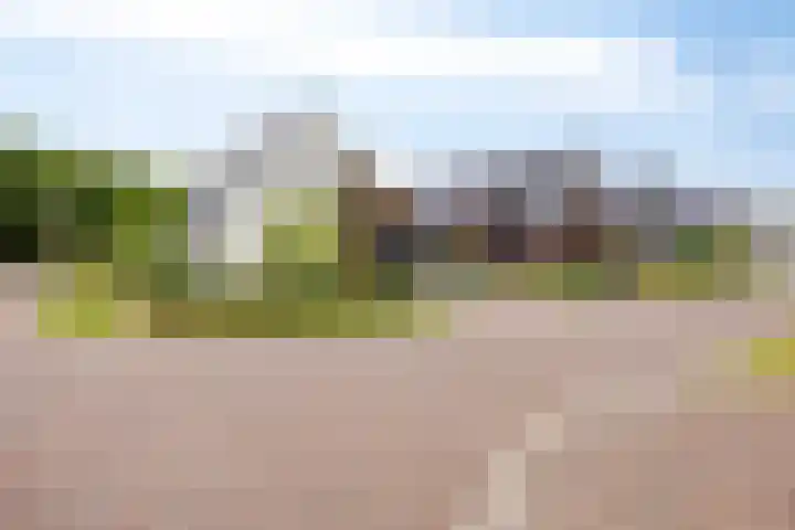 Moatsnieder 44 Haaksbergen thumbnail 6