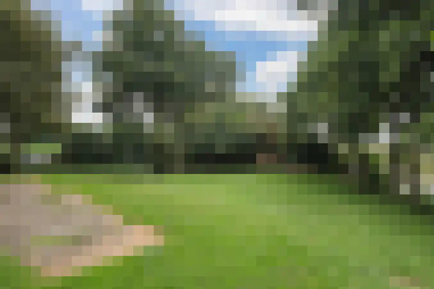 Mockamawei 16 Aalsum thumbnail 22