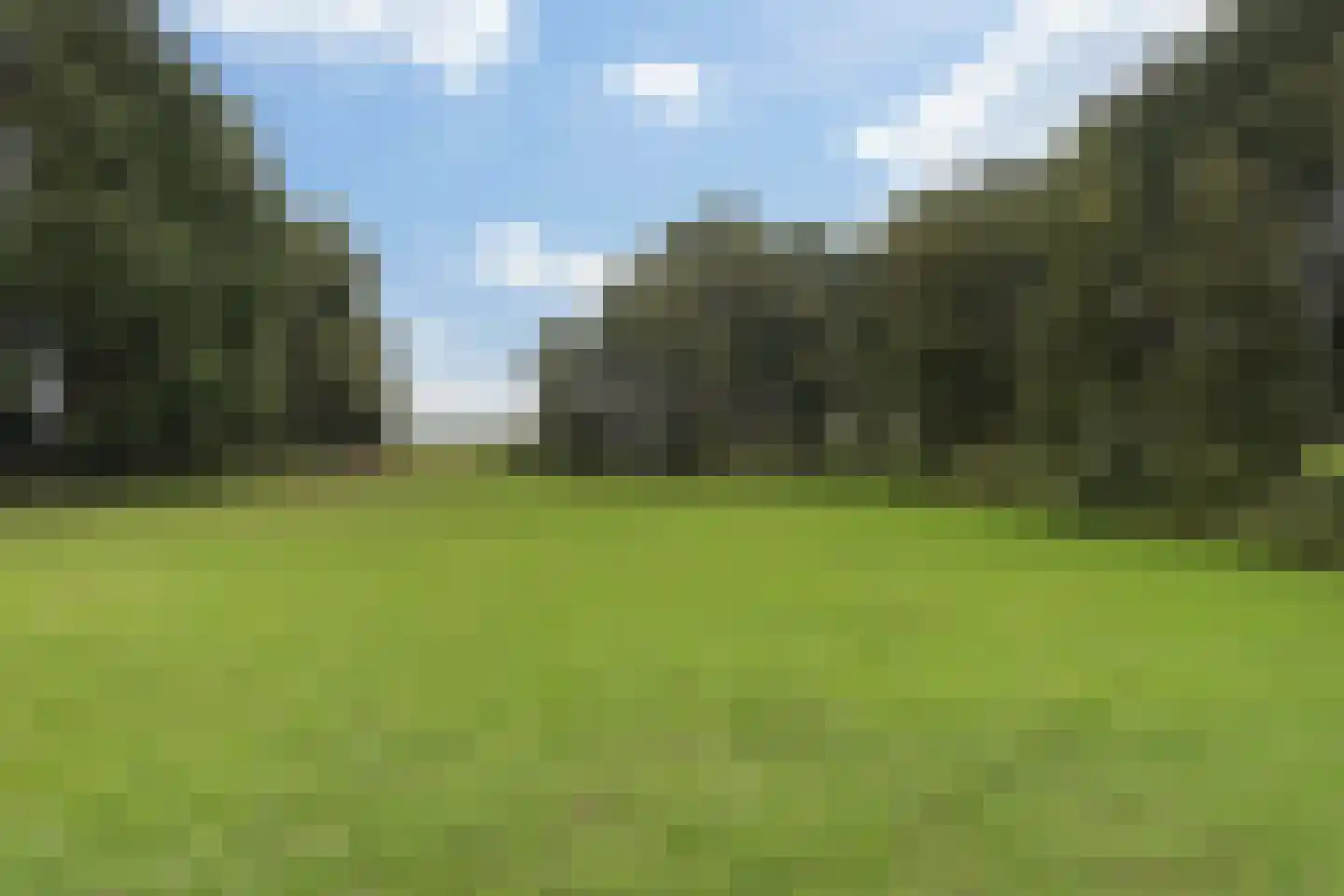 Mockamawei 16 Aalsum thumbnail 25