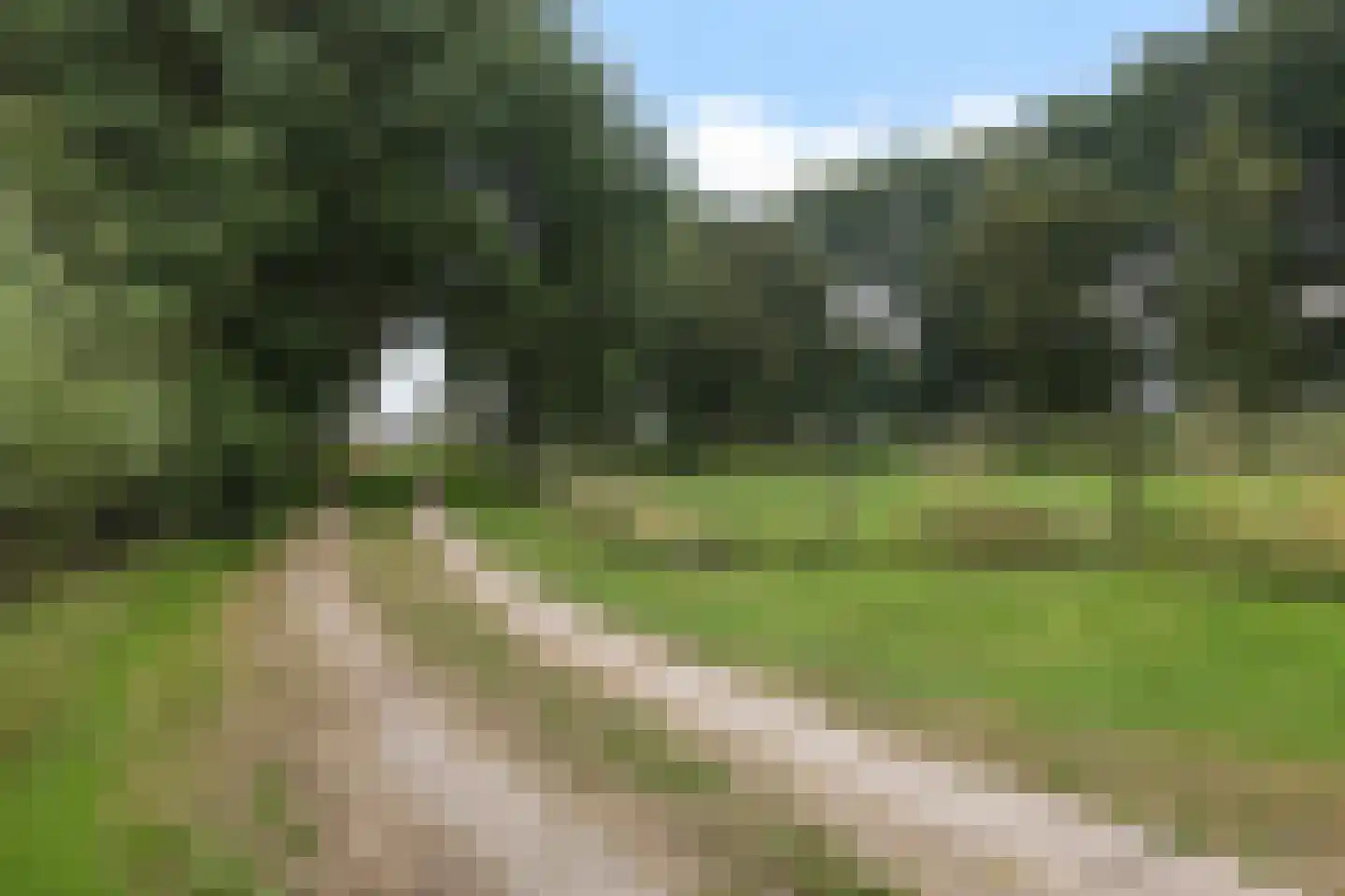 Mockamawei 16 Aalsum thumbnail 4