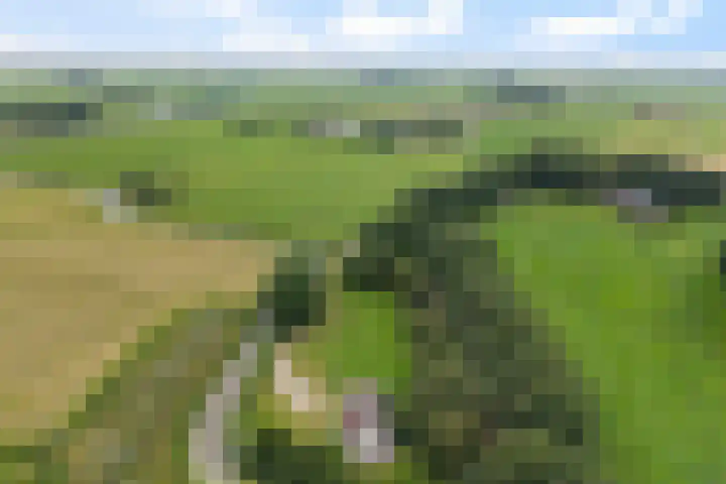 Mockamawei 16 Aalsum thumbnail 42