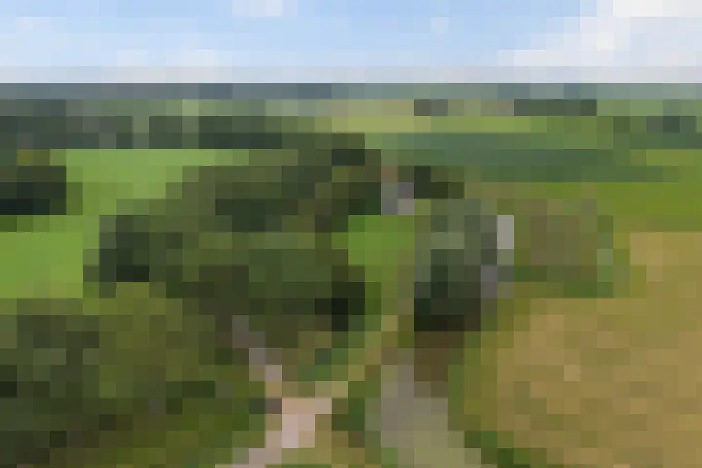 Mockamawei 16 Aalsum thumbnail 44