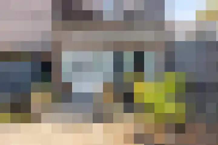 Mockeborg 8 A Maastricht thumbnail 19