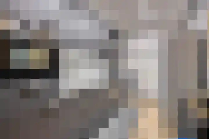 Mockeborg 8 A Maastricht thumbnail 9
