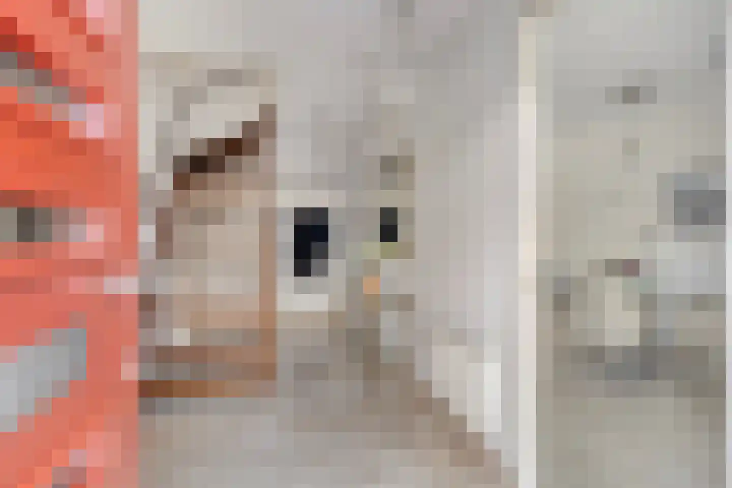 Mockveld 2 Maastricht thumbnail 10