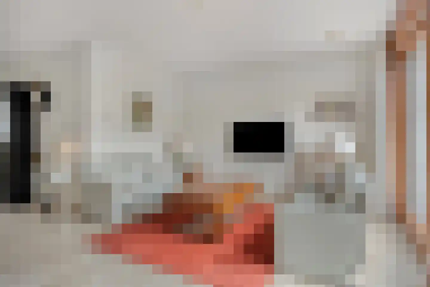 Mockveld 2 Maastricht thumbnail 15