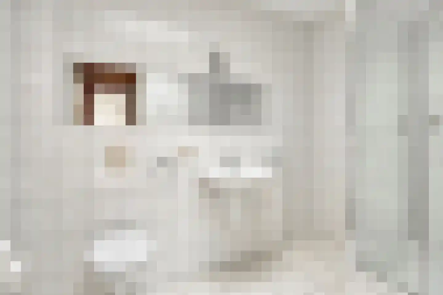 Mockveld 2 Maastricht thumbnail 7