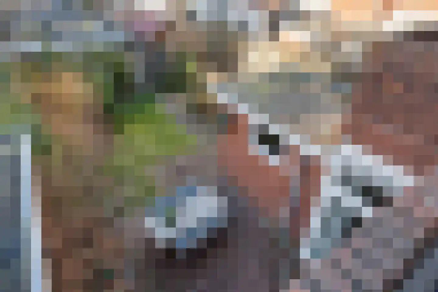 Moddermanlaan 25 Groningen thumbnail 25
