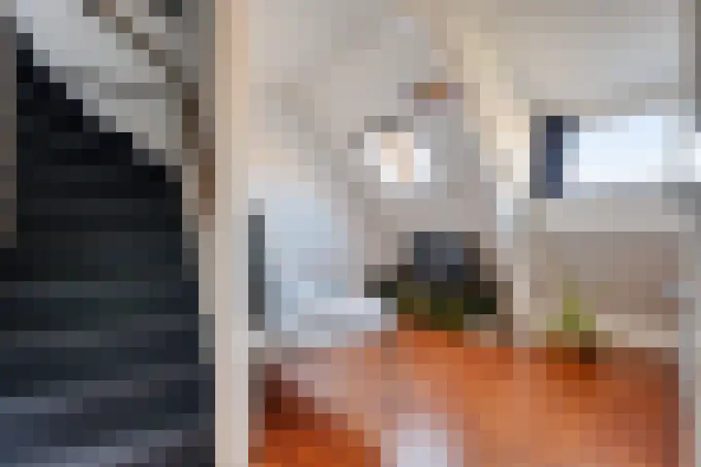 Moddermanlaan 25 Groningen thumbnail 31