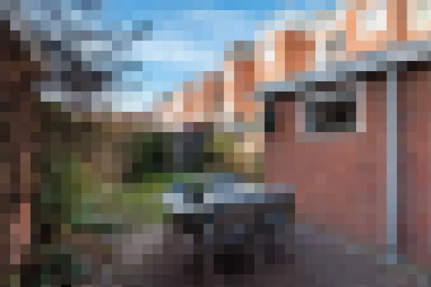 Moddermanlaan 25 Groningen thumbnail 39