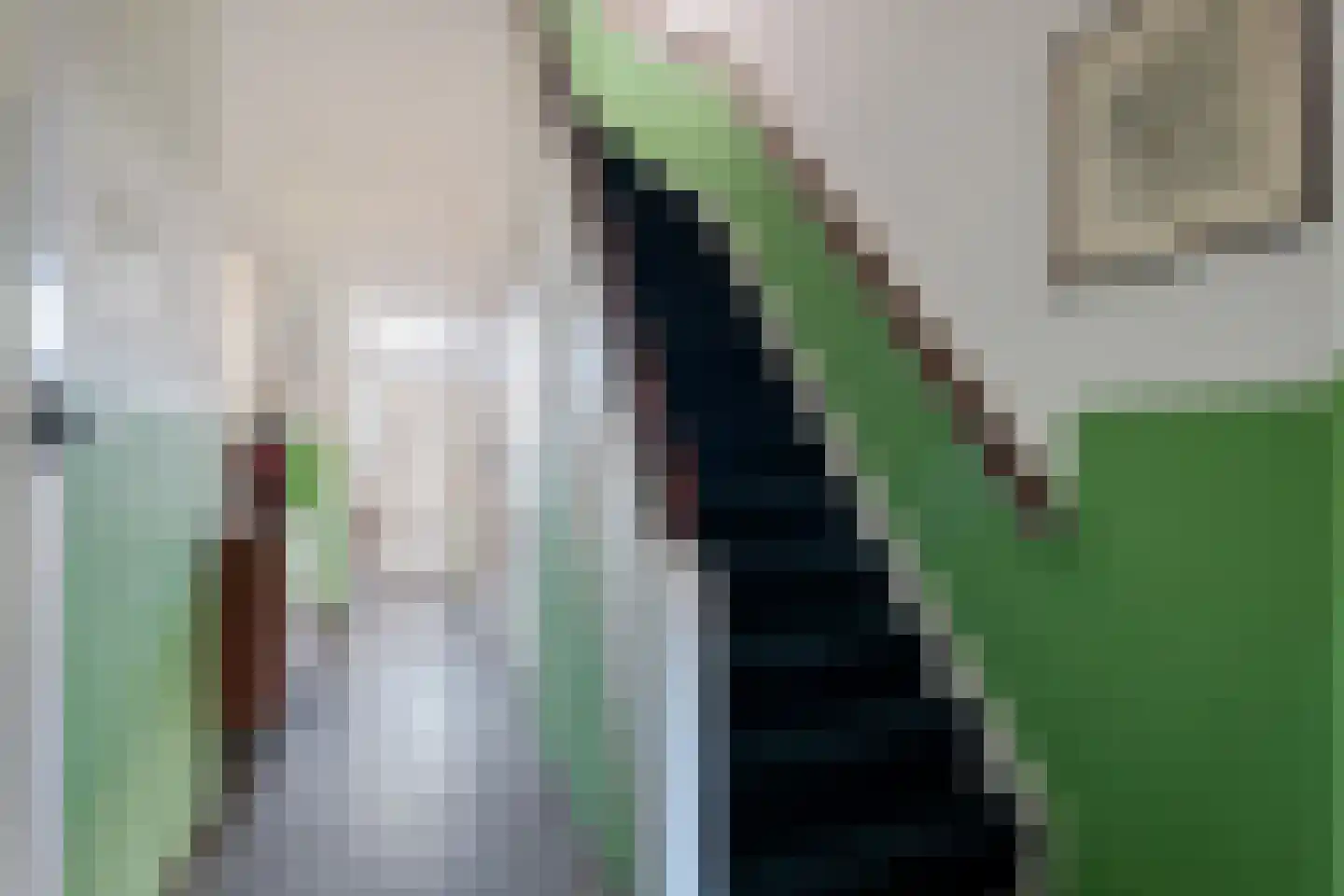 Moddermanlaan 25 Groningen thumbnail 8