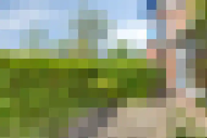Moddermanlaan 29 Groningen thumbnail 16