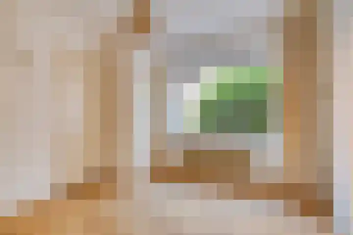 Moddermanlaan 29 Groningen thumbnail 20