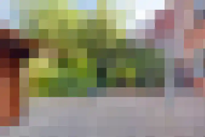 Moddermanlaan 29 Groningen thumbnail 26