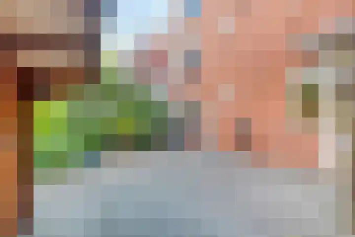 Moddermanlaan 29 Groningen thumbnail 27