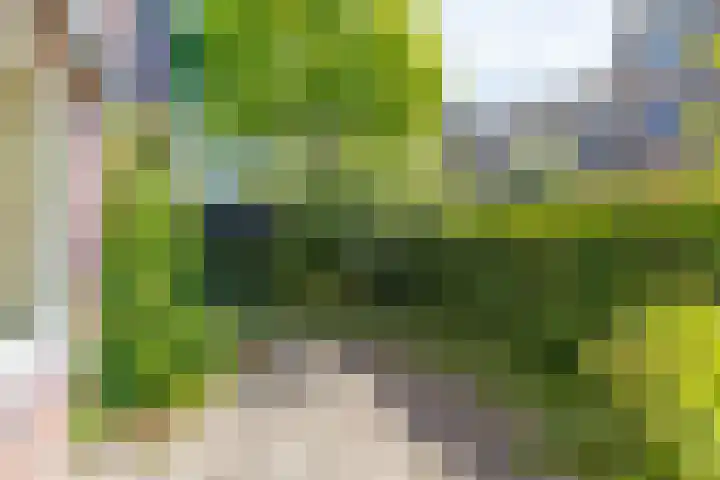 Moddermanlaan 29 Groningen thumbnail 34