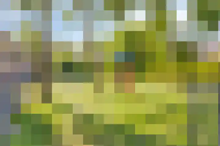 Moddermanlaan 29 Groningen thumbnail 36