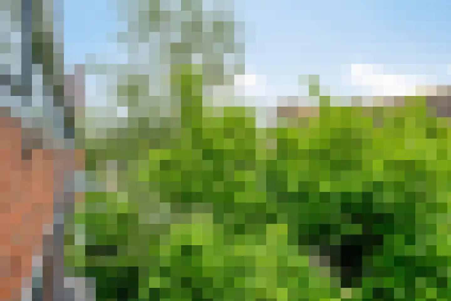 Moddermanlaan 35 Groningen thumbnail 16