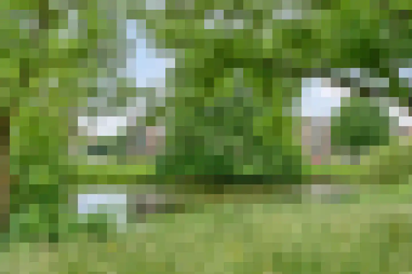 Moddermanlaan 35 Groningen thumbnail 54