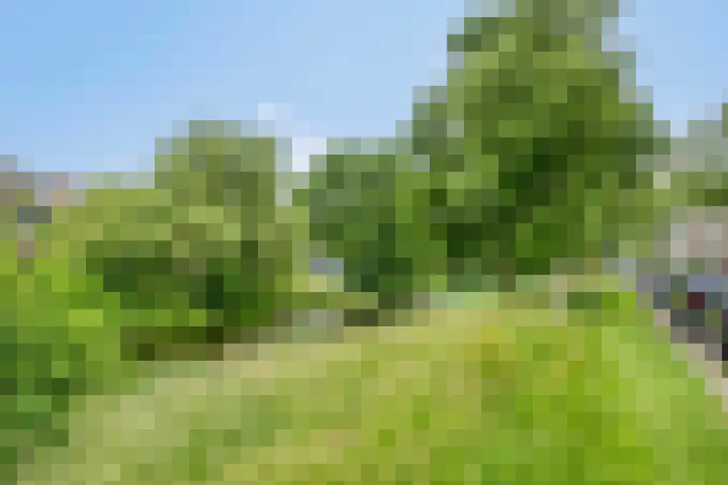 Moddermanlaan 35 Groningen thumbnail 56