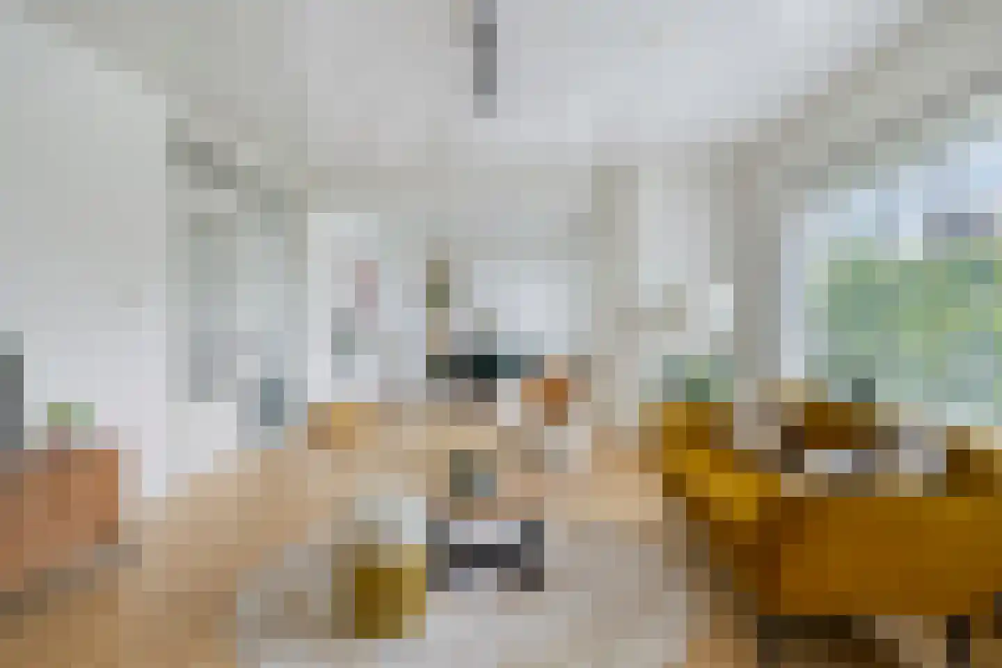 Moddermanlaan 35 Groningen thumbnail 7