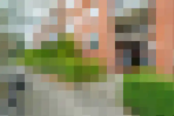 Moddermanlaan 41 Groningen thumbnail 10