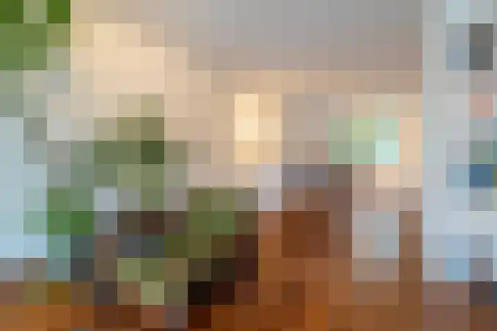 Moddermanlaan 41 Groningen thumbnail 17